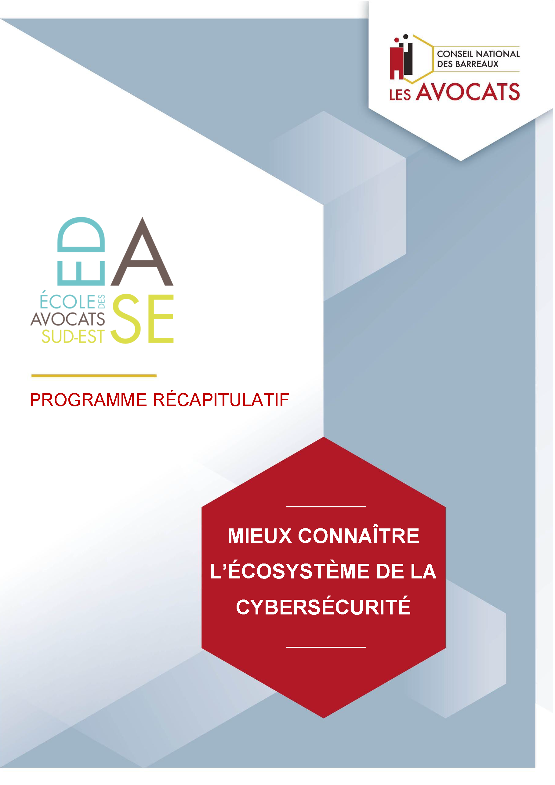 PANORAMA DE LA CYBERSÉCURITÉ ET DE LA CYBERCRIMINALITÉ - VOLET I - MIEUX CONNAITRE L'ÉCOSYSTÈME DE LA CYBERSÉCURITÉ - E-LEARNING 2026