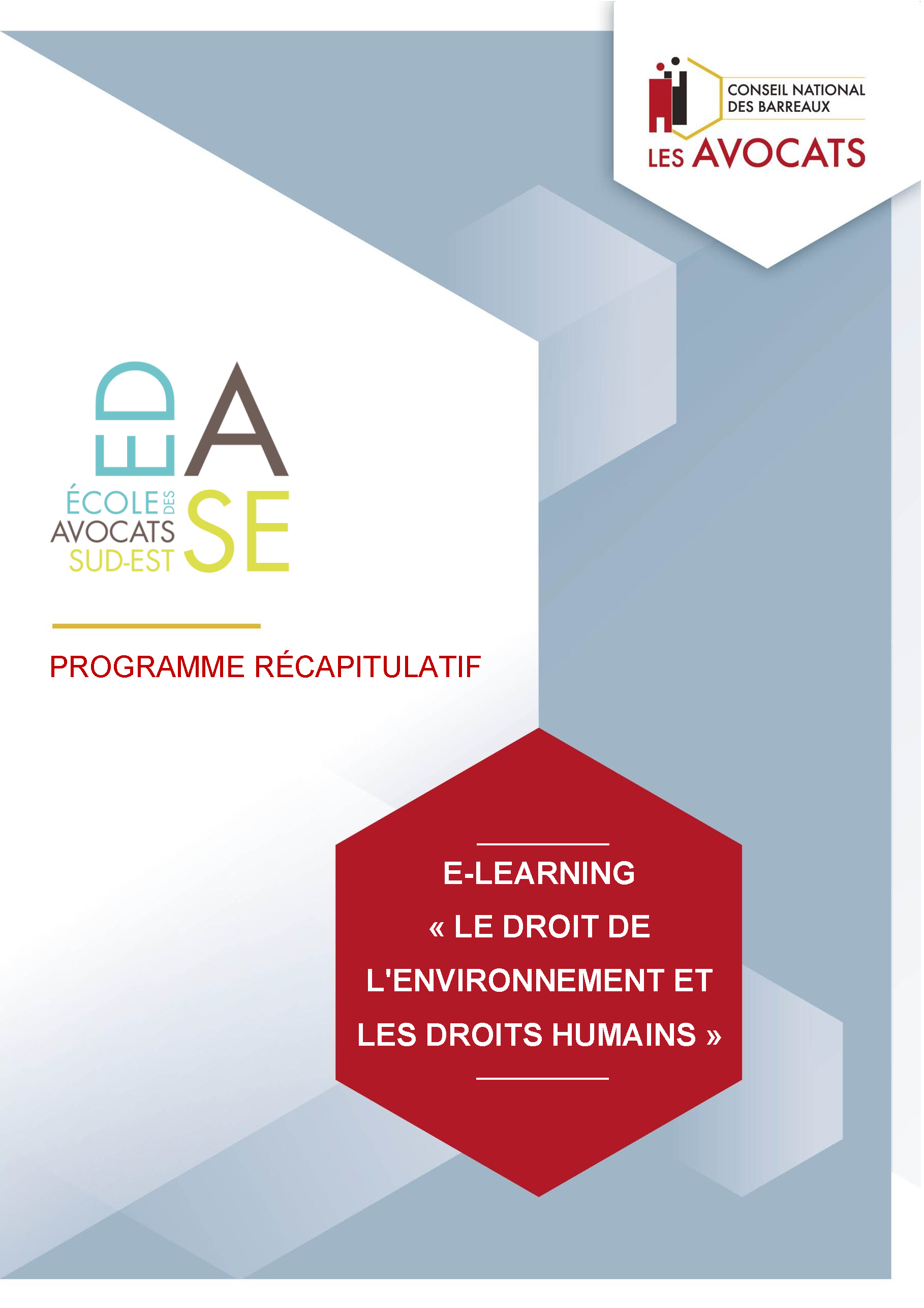 LE DROIT DE L'ENVIRONNEMENT ET LES DROITS HUMAINS - E-LEARNING 2026